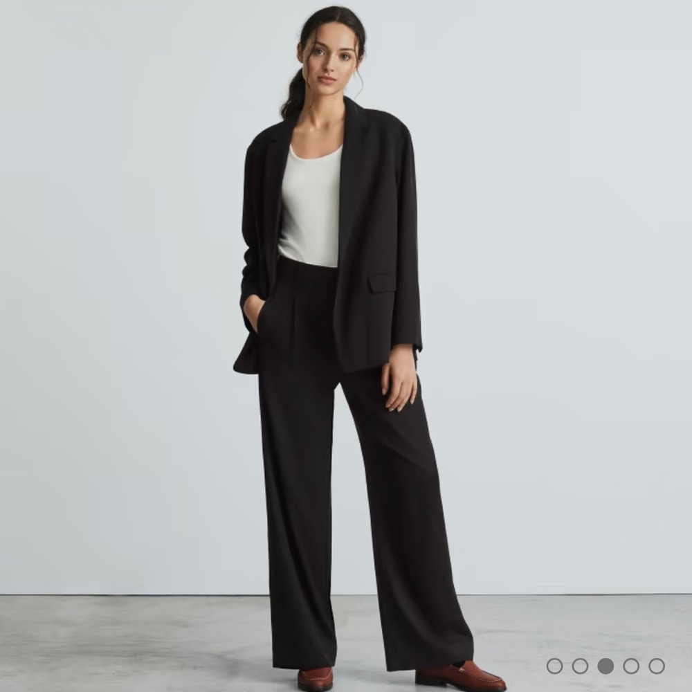 Everlane Way High Drape Pant